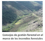 DESCARGA MANUAL GESTIÓN DE INCENDIOS (pdf)