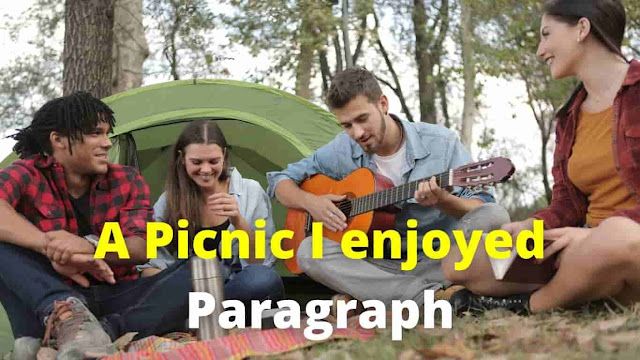a-picnic-i-enjoyed-paragraph