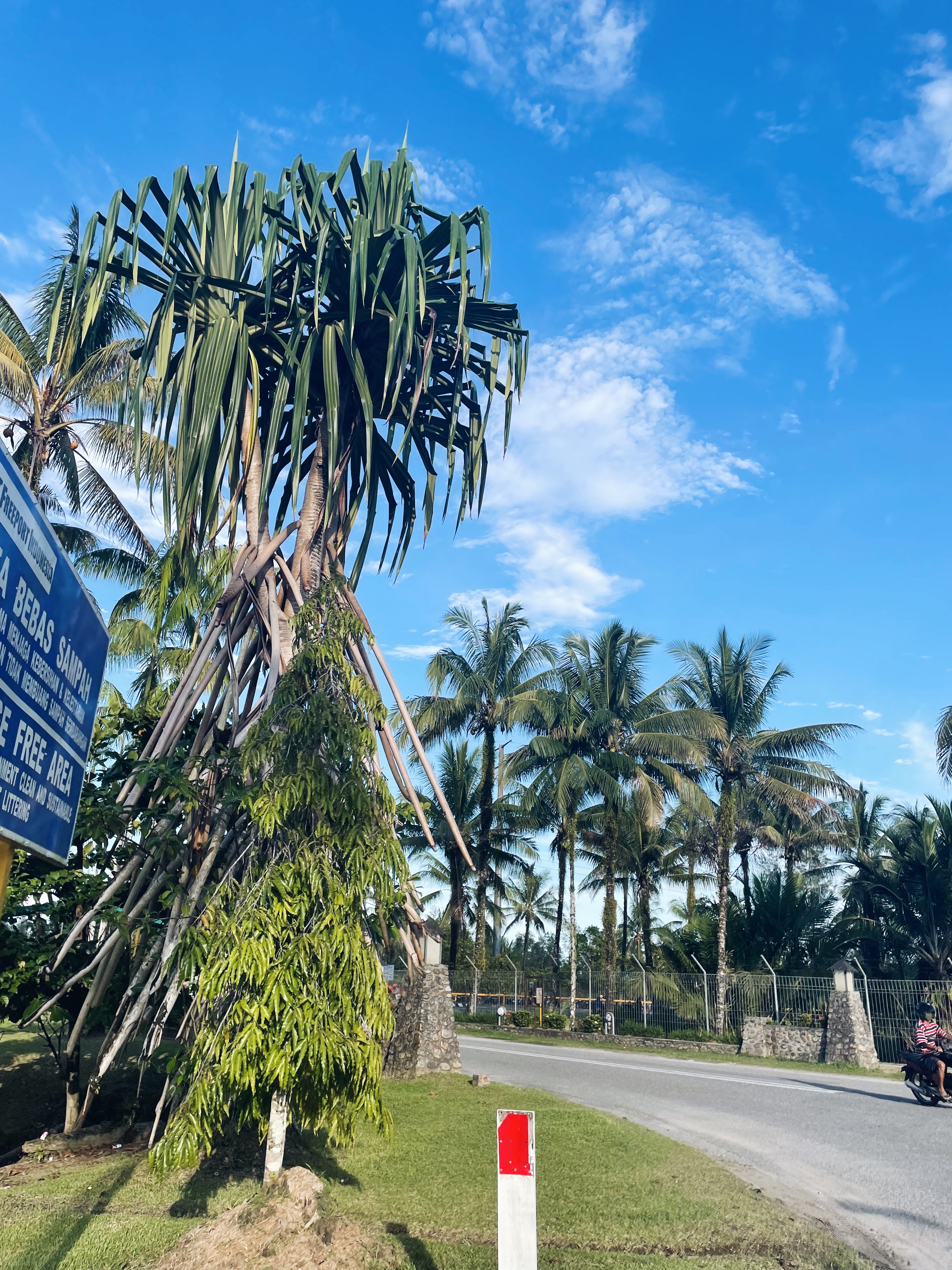 Jogging Sore With Beautiful View - Timika, Papua