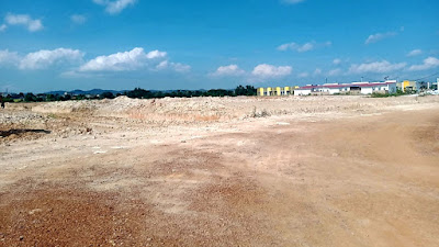 Presiden RI Lestarikan Mangrove di Batam, Oknum Pengusaha Property Diduga Rusak Hutan Mangrove.