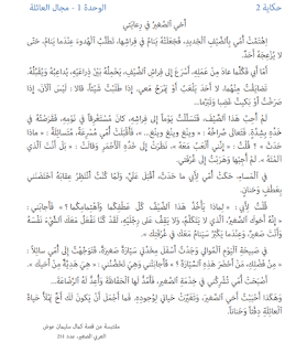 حكاية أخي الصغير في رعايتي مكتوبة كتابي في اللغة العربية المستوى الثاني