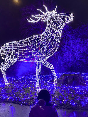 A large lit up reindeer