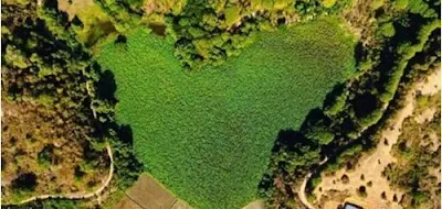 rana tonjong adalah danau lotus nomor 2 terbesar di dunia terdapat di flores