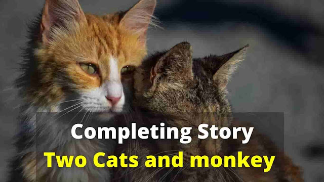 completing-story-two-cats-and-monkey