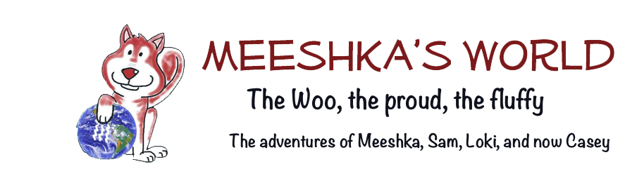 Meeshka's World