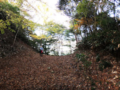 二ツ山城（島根県邑南町）