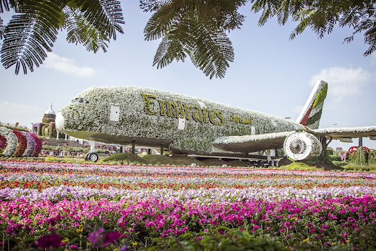 Dubai Miracle Garden images