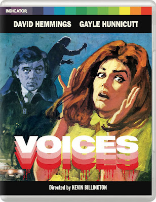 Voices 1973 Blu-ray Horror David Hemmings Gayle Hunnicutt