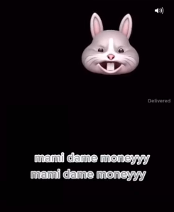 Best 15 bad bunny ticket memes