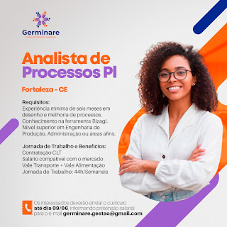  ANALISTA DE PRECESSOS PI