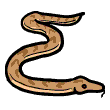 اسم الأفعى باللغة الإنجليزية هو Snake وتنطق 'سنايك'