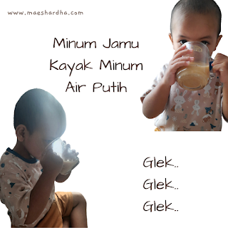 minum jamu cekok