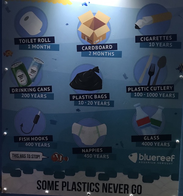 plastics and rubbish decomposing time