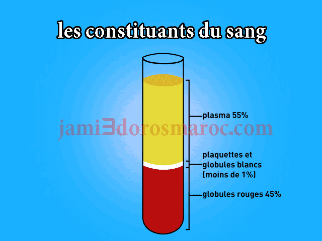 les constituants du sang