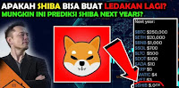 Prediksi Koin Harga Shiba Inu 16 November 2021 Menurut Ahli Scott Melker dan Analisa XRP Menuju Reli Epik Terbaru