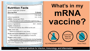 Ribonucleic acid vaccines