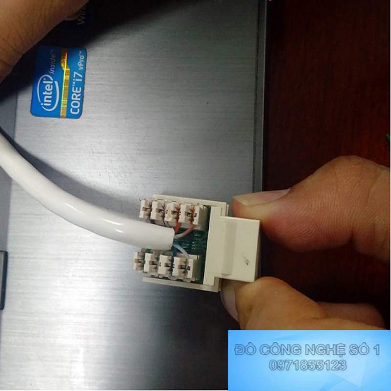 cách bấm dây mạng âm tường