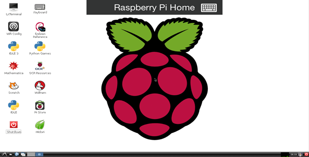 Raspberry Pi Interfaces 