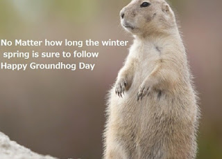 Happy groundhog day wishes