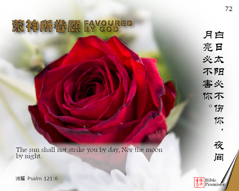 诗篇 Psalm 121:6 | Bible Promises
