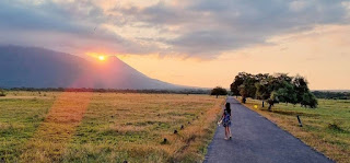 Taman nasion baluran