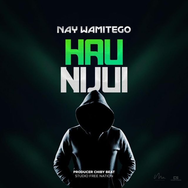 Nay wa mitego - Hunijui