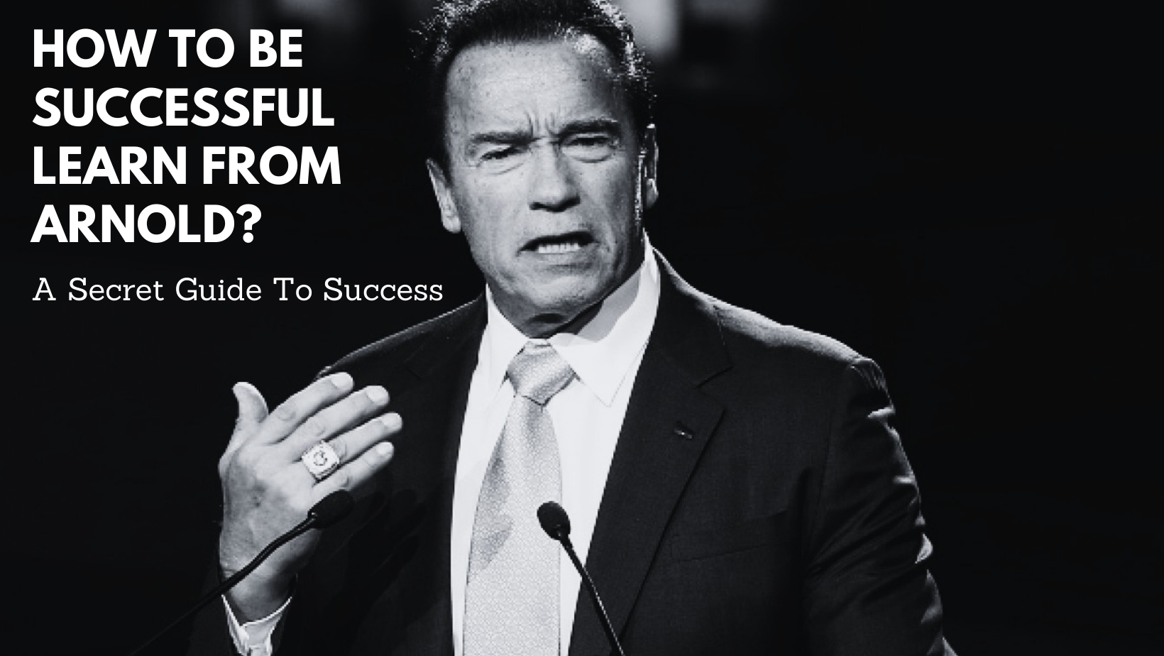 How To Be Successful Learn From Arnold? A Secret Guide To Success