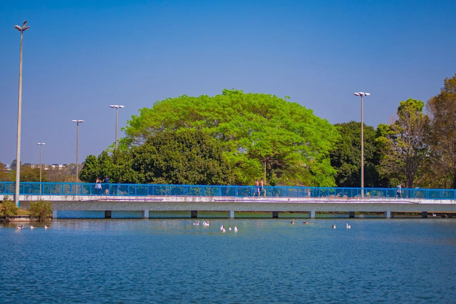 Paisagem do Parque da Cidade PDSK