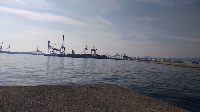 沖堤防から神戸港のコンテナ埠頭を望む