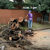 Intenso trabajo de levantamiento de ramas y troncos por los barrios