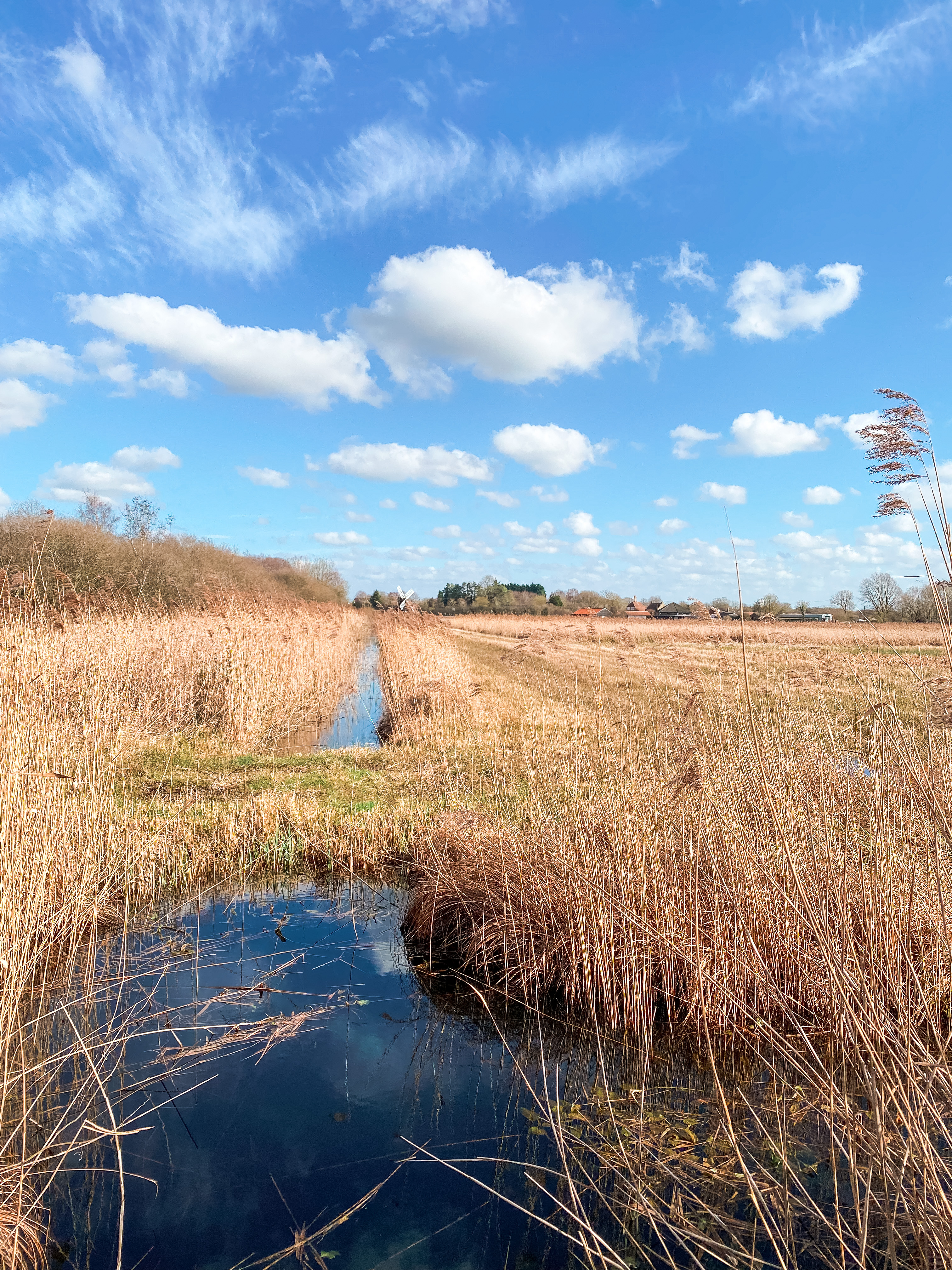 Wicken Fen, Cambridgeshire