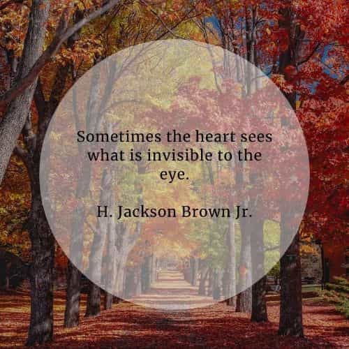 Heart quotes that will inspire you to follow your heart