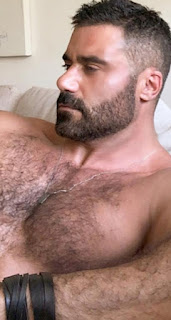 Furry Muscular Hunks are the Real Deal