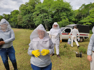 Trabajando con abejas en Nueva Alborada