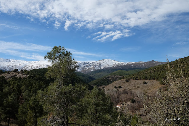 Barranco el Alhorí, Picón, Nubes