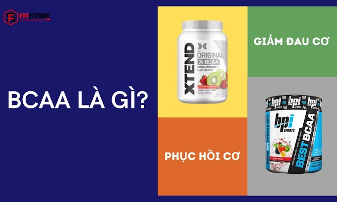 BCAAs là gì? Mọi thứ bạn cần biết về tác dụng của BCAAs