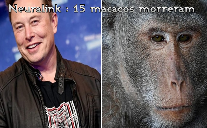 15 Macacos com o Neuralink morreram