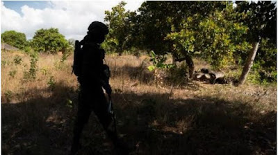 Tim tentara mozambuk tembak mati 10 pemberontak