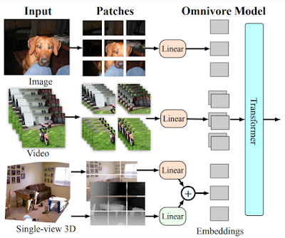 omnivore_model