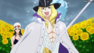 ワンピースアニメ ドレスローザ編 725話 キャベンディッシュ かっこいい Cavendish CV.石田彰 | ONE PIECE Episode 725