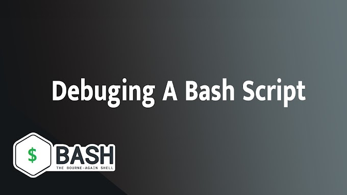  Debuging A Bash Script