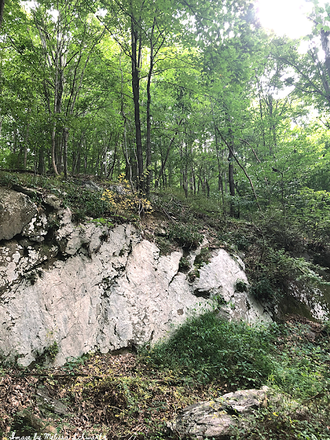 The rocky landscape along the East Branch Brandywine Creek cobbled together a picturesque nature mosaic.