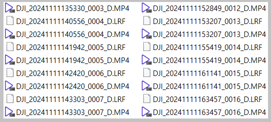 DJI 오즈모 액션 카메라 LRF 파일