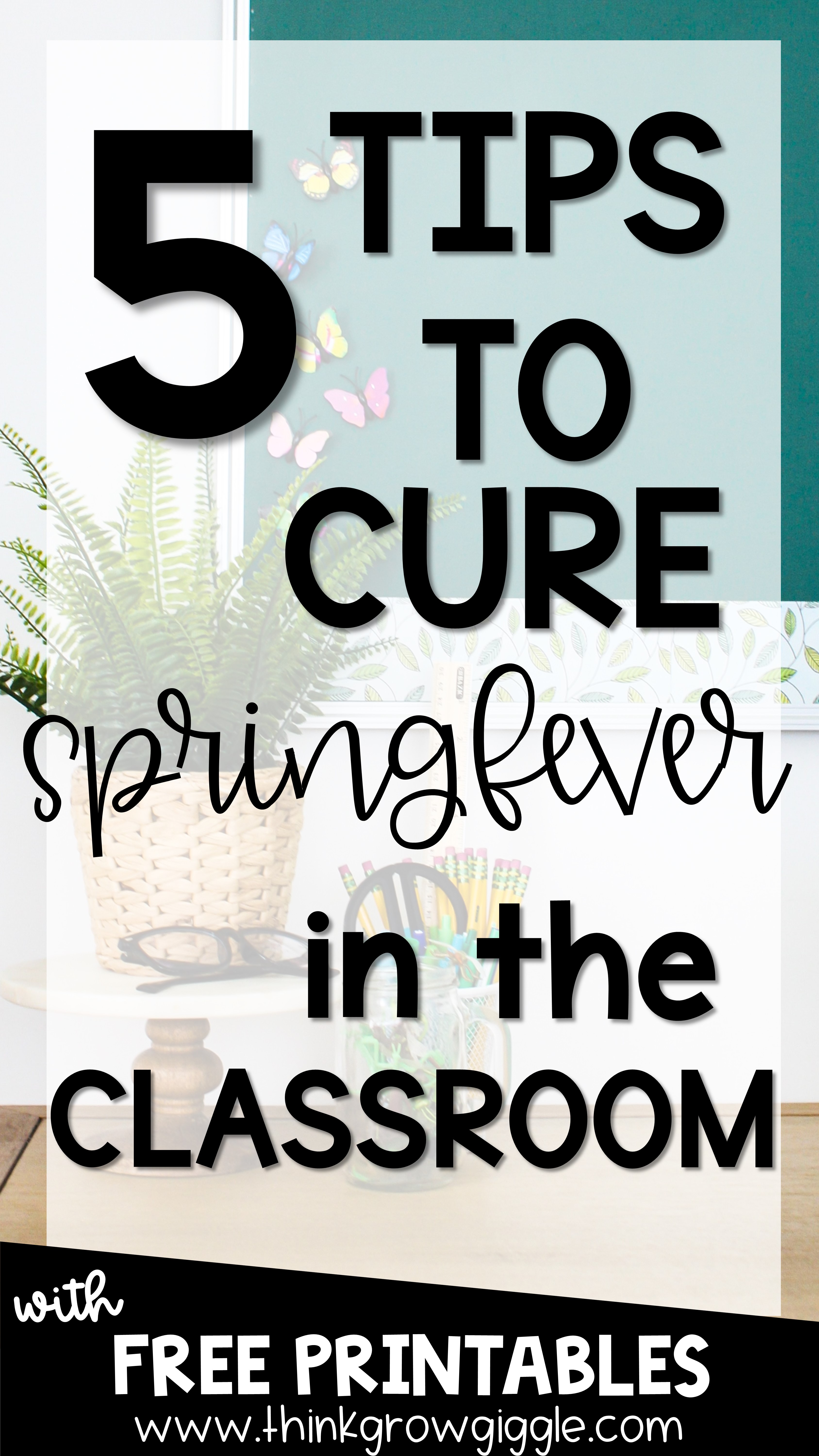 Spring ideas and activities for upper elementary students