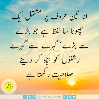 QUOTES IN URDU