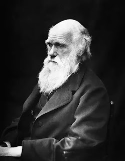 डार्विन की विकास थ्योरी क्या है, चार्ल्स डार्विन कौन थे ,क्या है उनकी विकास थ्योरी, चार्ल्स डार्विन इवोल्यूशन थ्योरी, चार्ल्स डार्विन का जन्म ,डार्विन का सिद्धांत, एवोल्यूशन थ्योरी ऑफ चार्ल्स डार्विन