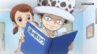 ワンピースアニメ 925話 ワノ国編  | トラファルガー・ロー 幼少期 トラ男 | ONE PIECE Trafalgar Law