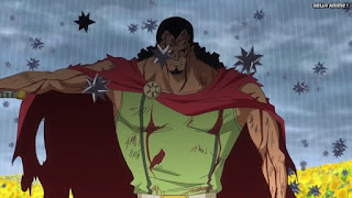 ワンピースアニメ ドレスローザ編 717話 キュロス 兵隊さん KYROS | ONE PIECE Episode 717