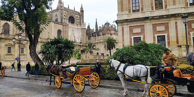 Photo 10/27 - Devant la cathedrale de Sevill...
