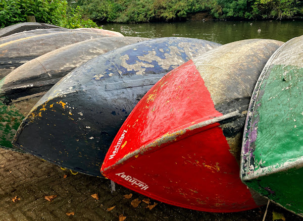 Boats, Finsbury Park